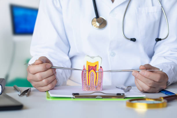 Best Emergency Pediatric Dental Care in Oakton, VA